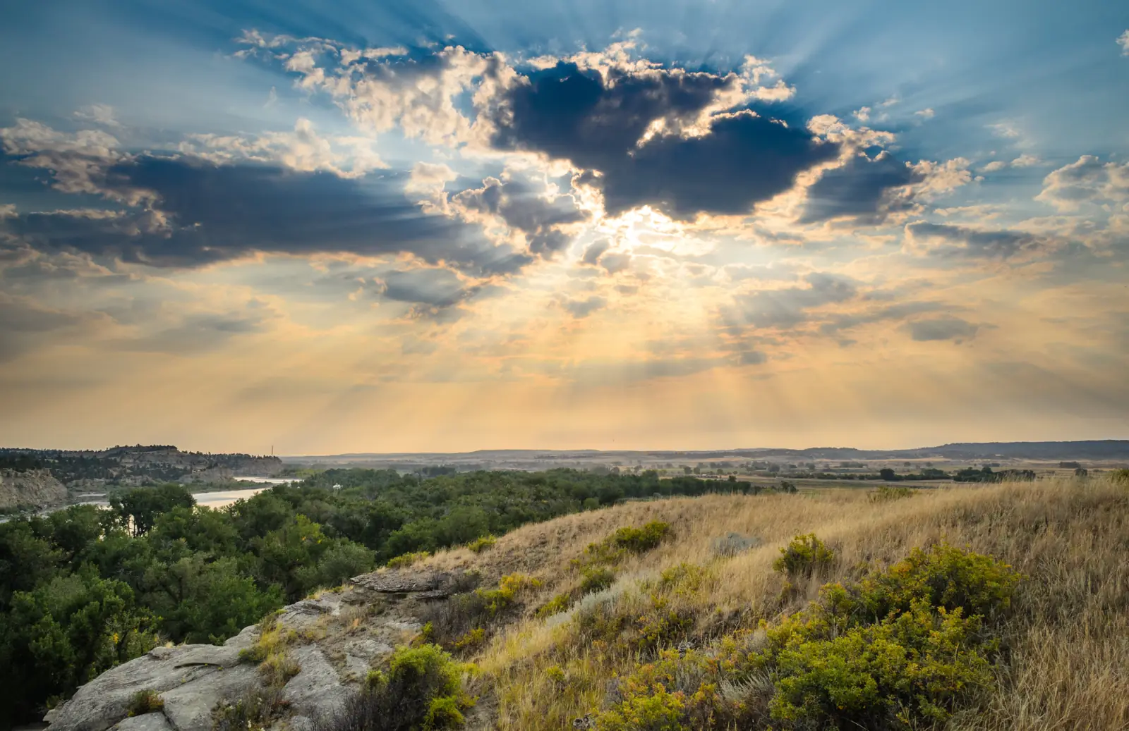 Billings