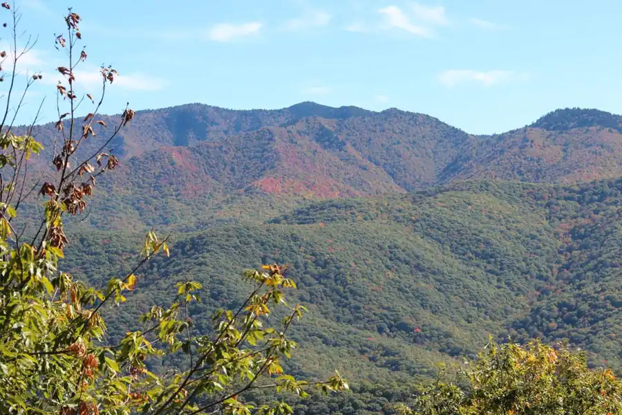 North Carolina
